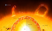 Interior,Surface and Atmosphere of Sun
