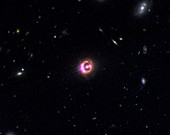 Quasar RX J1131-1231