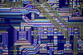 Microchip surface,light micrograph