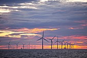 The Walney Offshore windfarm