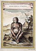 1748 Orang outang orangutan of Tulp 1641