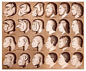 1870 Haeckel Racist human illustration