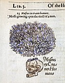1597 Gerard's Herbal Moss on Human Skulls
