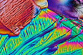 Citric acid crystals,light micrograph