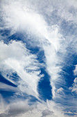 Cumulus and cirrus clouds in a blue sky