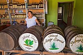 Mezcal distillery,Mexico