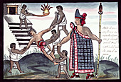 Aztec human sacrifice,16th century