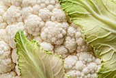 Cauliflower (Brassica oleraceaare)