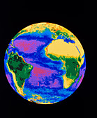 Global biosphere,Atlantic Ocean
