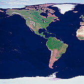 The western hemisphere