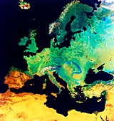 Europe NOAA mosaic,summer