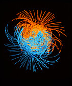 Simulation of the Earth's magnetic field