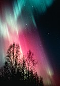 Aurora Borealis photographed from Alaska