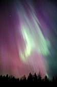 Aurora borealis