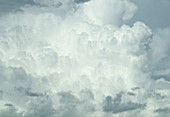 Side of a cumulonimbus storm cloud