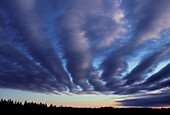 Long streaks of stratocumulus cloud at sunset