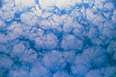Mackerel sky; altocumulus clouds