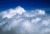A bank of cumulus clouds