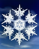 Computer-enhanced image of snowflake on c