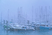Fishing boats in harbour during a blizzard
