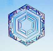 Hexagonal snowflake