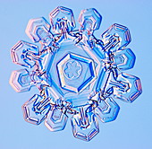 Double snowflake