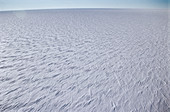 Sastrugi snow patterns