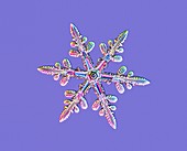 Snowflake,light micrograph