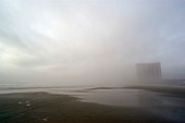 Coastal fog