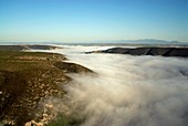 Morning fog,South Africa