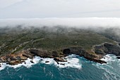 Coastal mist,South Africa