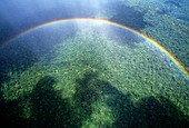 Aerial view of a rainbow over a forest