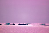 Image of islands seen as mirages above the horizon