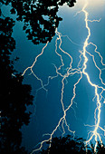 Lightning over wooded countryside