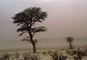 Dust storm