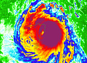 NOAA satellite image of hurricane Roxanne