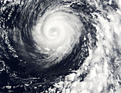 Typhoon 12W