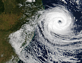 Tropical cyclone Catarina