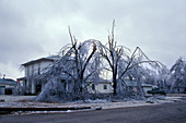 Ice storm damage
