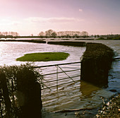 Flooding of the river Severn