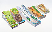 Landslide types
