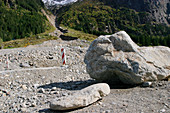 Landslide blocking a Swiss road,2005