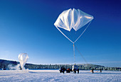 Arctic ozone research