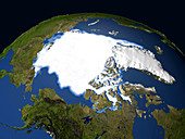 Arctic sea ice,1979