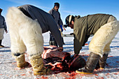 Seal hunt