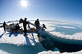 Arctic filming