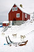 Arctic settlement,Greenland