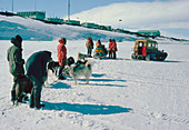 Dog sledge team preparing for trek,at Scott Base