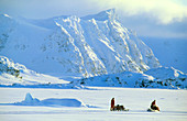 Skidoo and sledge transport,Antarctica