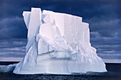 Iceberg floating in the Ross Sea,Antarctica